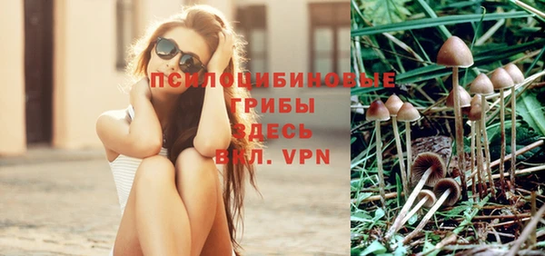 бошки Михайловка