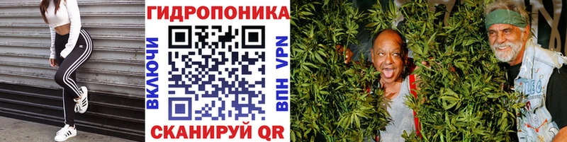 как найти наркотики  мега ONION  Конопля Ganja  Чекалин 